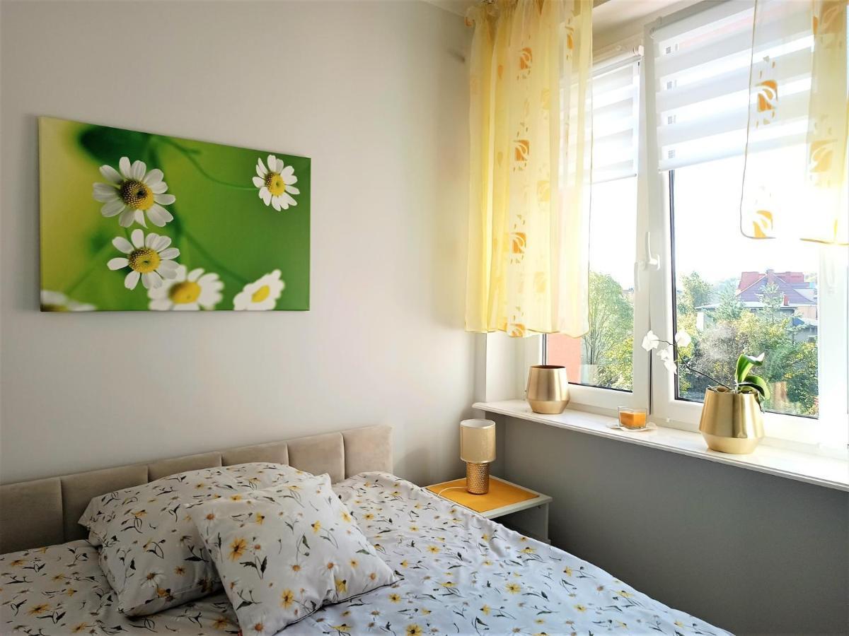 Szmaragdowy Apartament Przy Ulicy Opolskiej Tarnowskie Góry Exterior foto